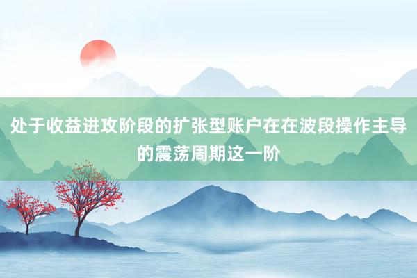 处于收益进攻阶段的扩张型账户在在波段操作主导的震荡周期这一阶