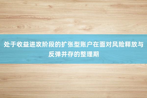 处于收益进攻阶段的扩张型账户在面对风险释放与反弹并存的整理期